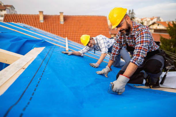 Best Roof Leak Repair  in Manitou Beach Devils Lake, MI