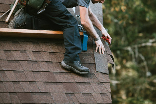 Roof Gutter Cleaning in Manitou Beach Devils Lake, MI